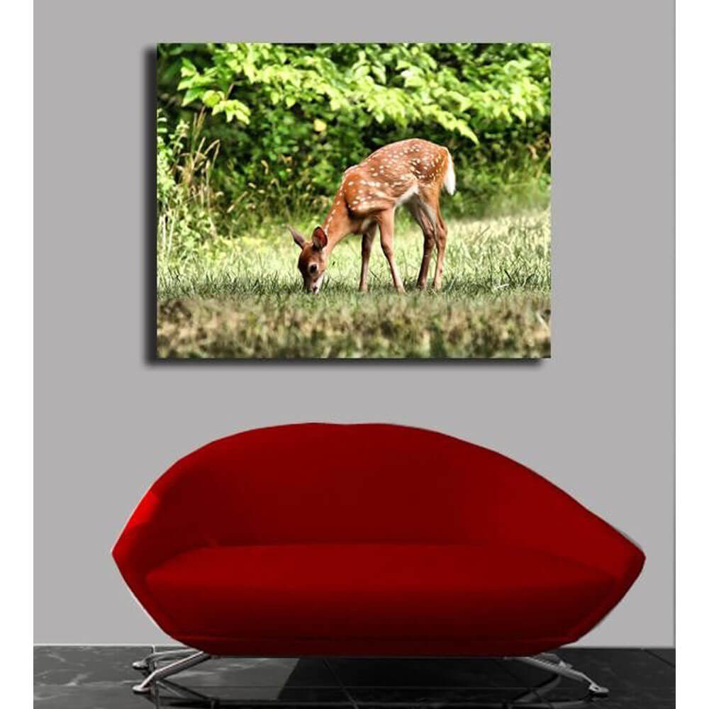 Batie Grazing Fawn Canvas Print Installed
