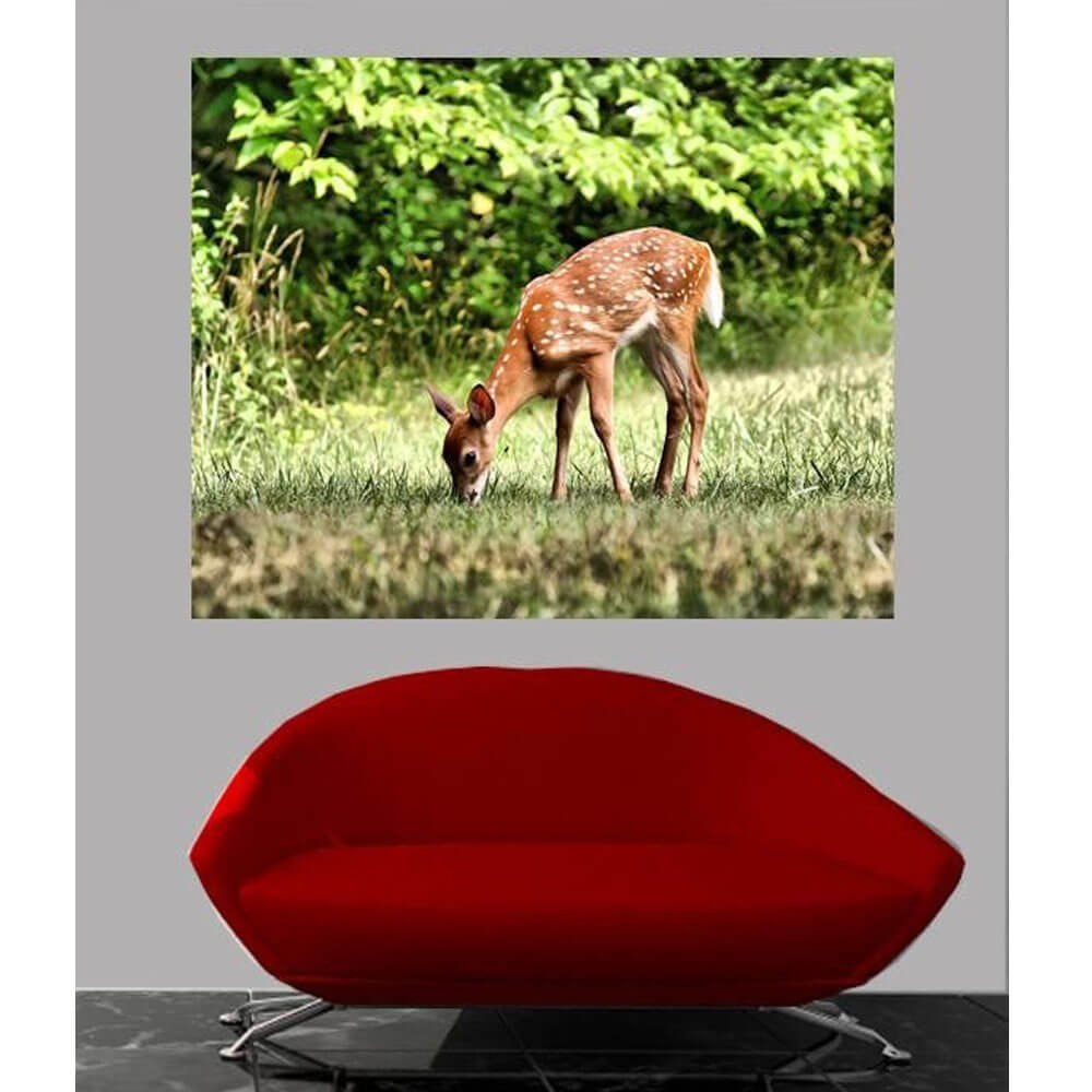 Batie Grazing Fawn Wall Decal Installed
