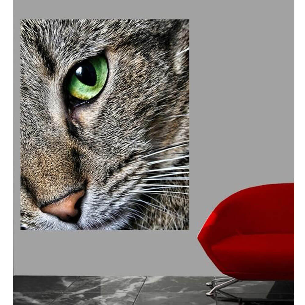 Batie Max Close Up Wall Decal Installed