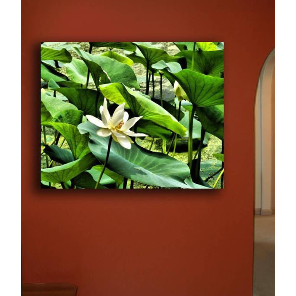 Batie Pond Flower Canvas Print Installed