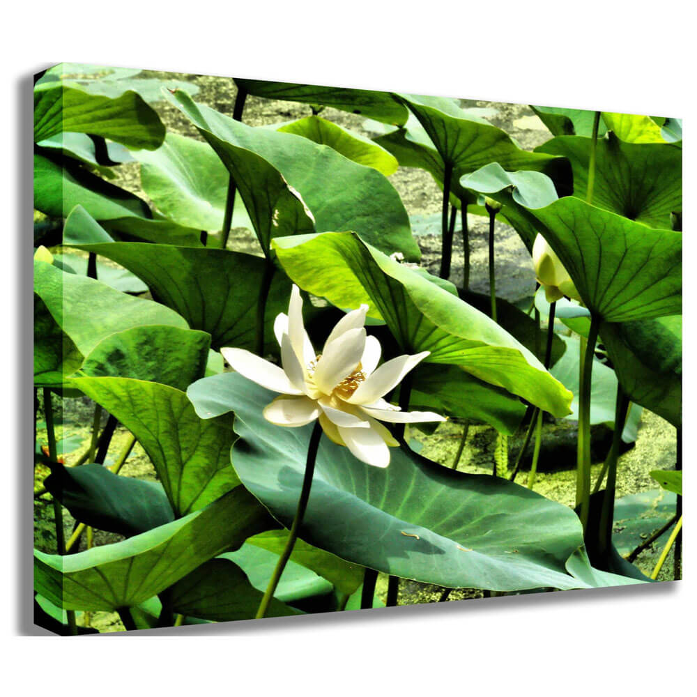 Batie Pond Flower Canvas Print