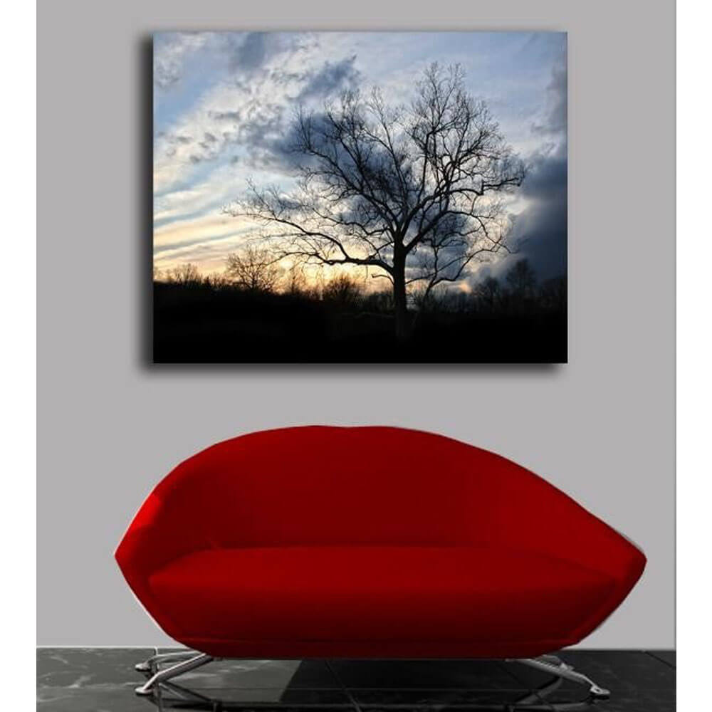 Batie Sunset Tree Canvas Print Installed