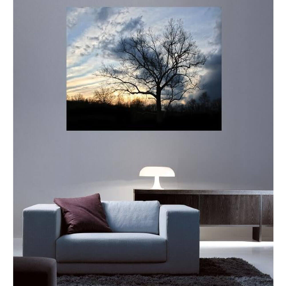 Batie Sunset Tree Glossy Poster Installed