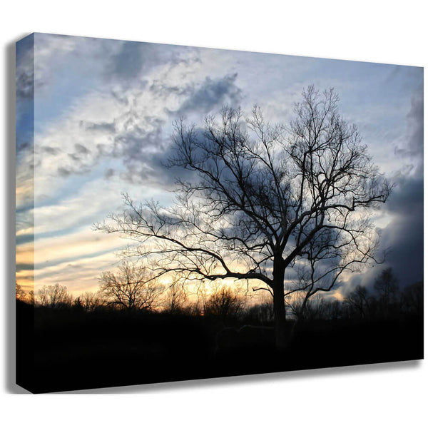 Batie Sunset Tree Canvas Print