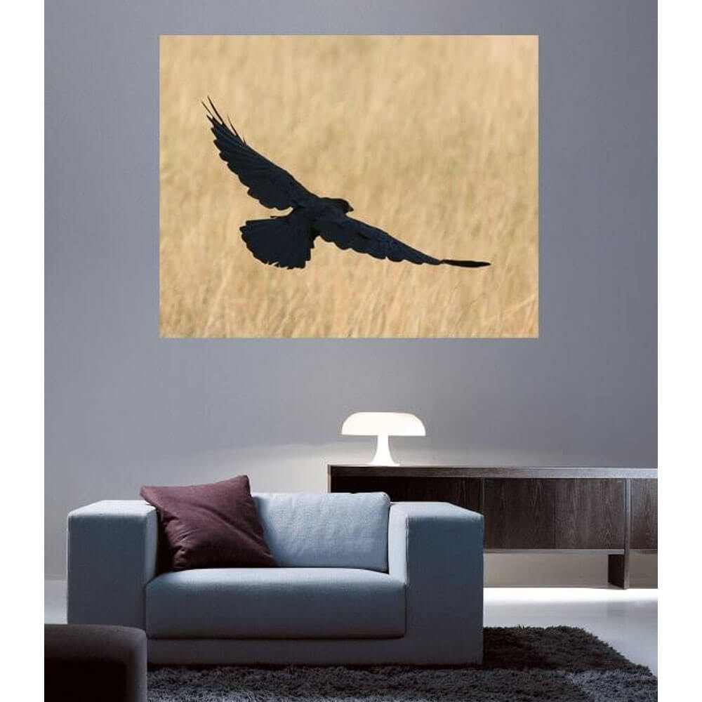 Batie Crow Glossy Poster Installed