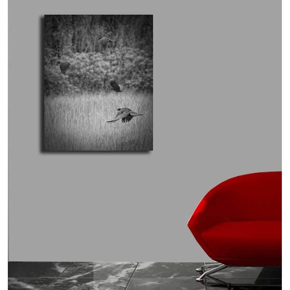 Batie "The Crows" Canvas Print Installed