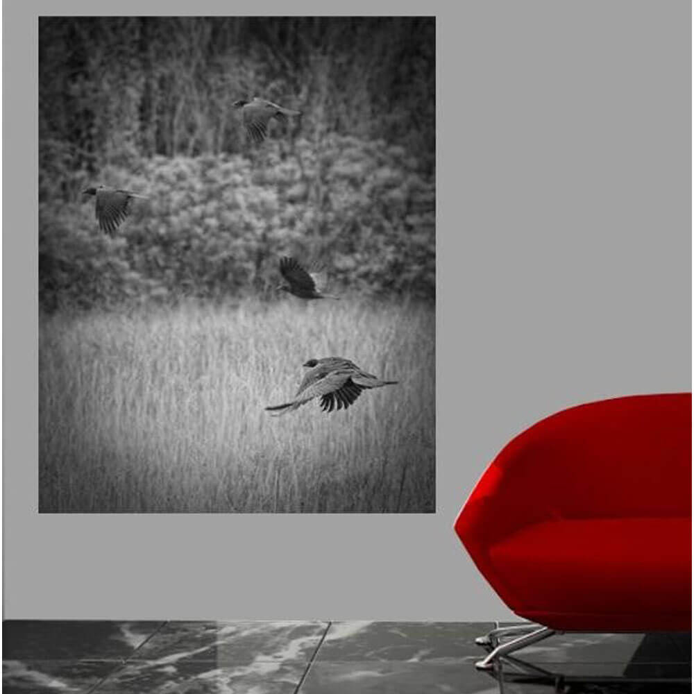 Batie The Crows Wall Decal Installed