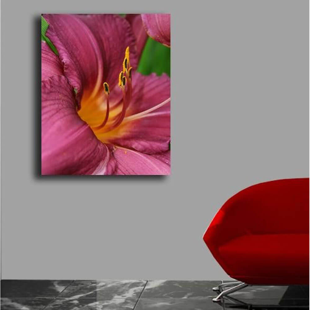 Batie The Lily Canvas Print Installed