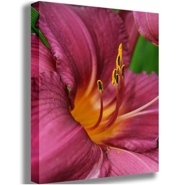Batie The Lily Canvas Print