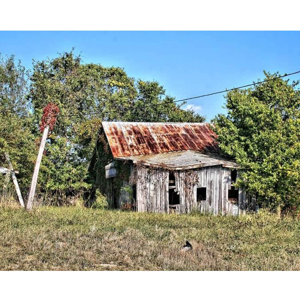 Batie The Shack Gloss Poster