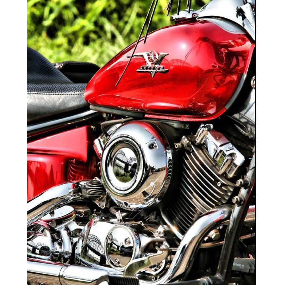 Batie V Star Glossy Poster