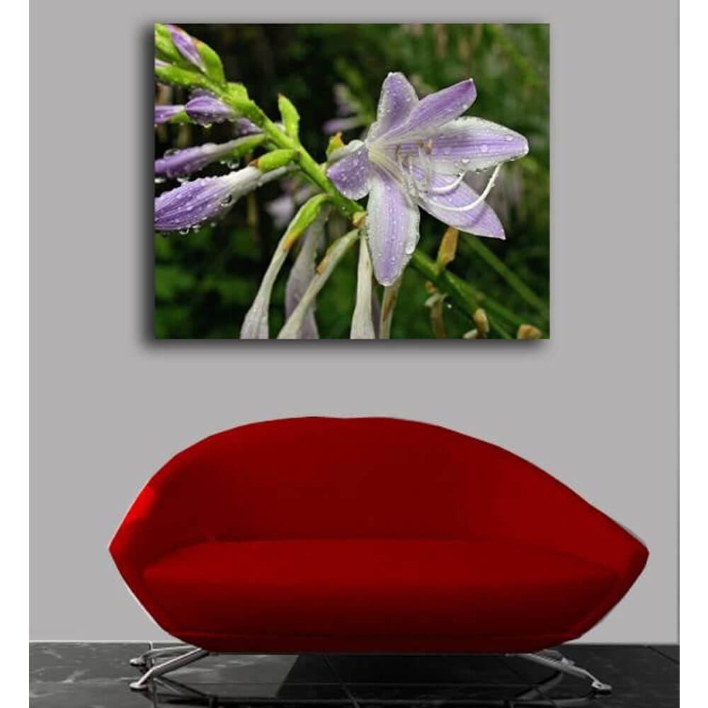 Batie Wet Flower Canvas Print Installed