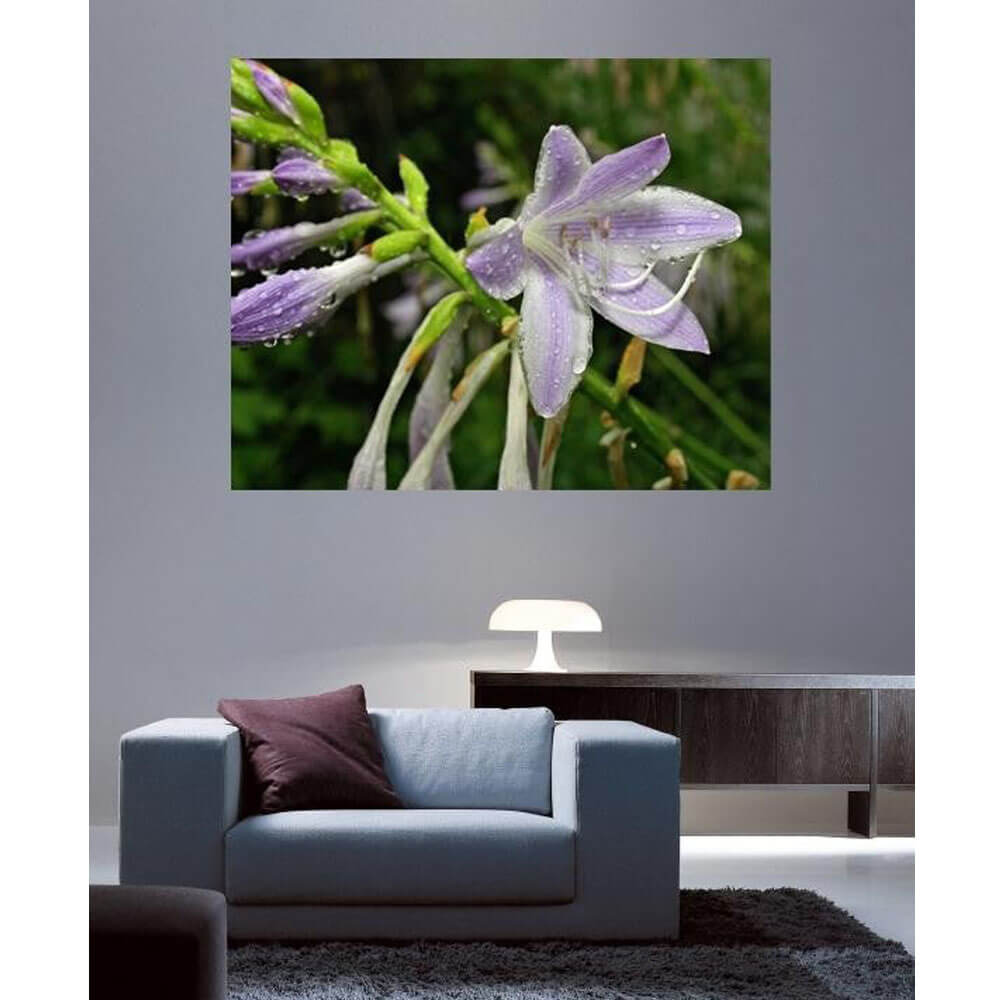Batie Wet Flower Wall Decal Installed