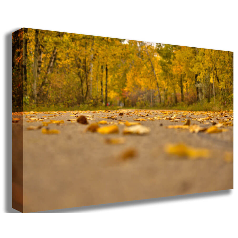 Boer Autumn Road Canvas Print