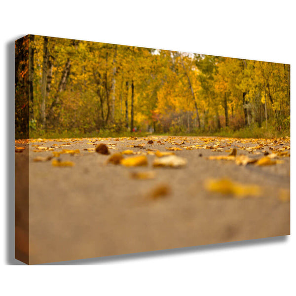 Boer Autumn Road Canvas Print