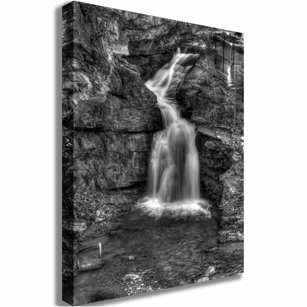 Boer Black & White Waterfall Canvas Print