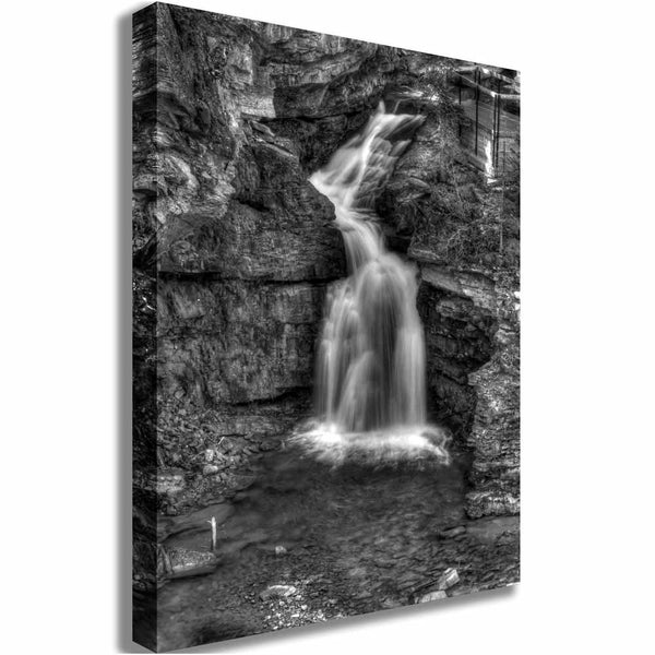Boer Black & White Waterfall Canvas Print