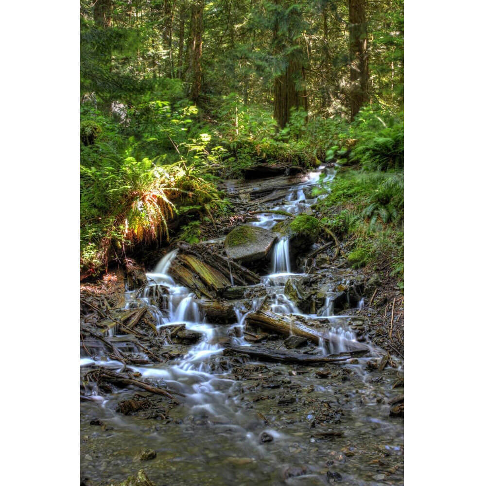 Boer Bridal Falls Wall Decal