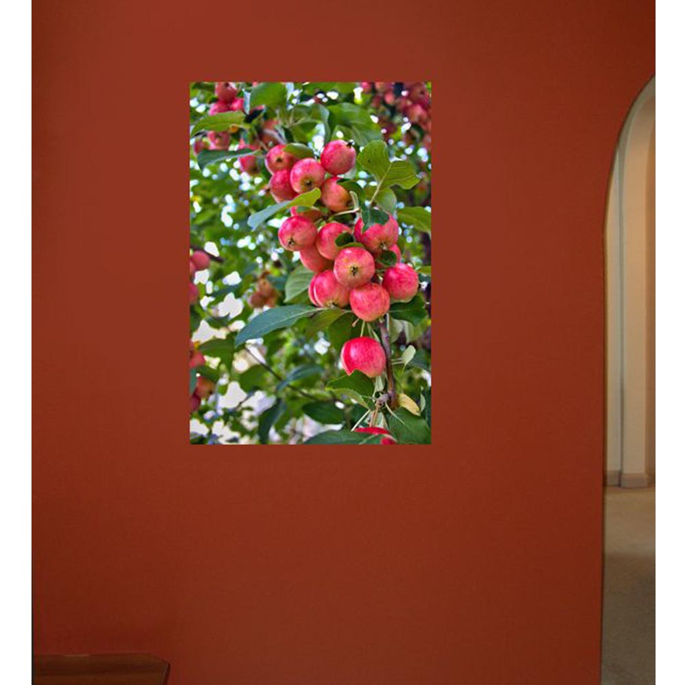 Boer Crab Apples Glossy Poster Installed