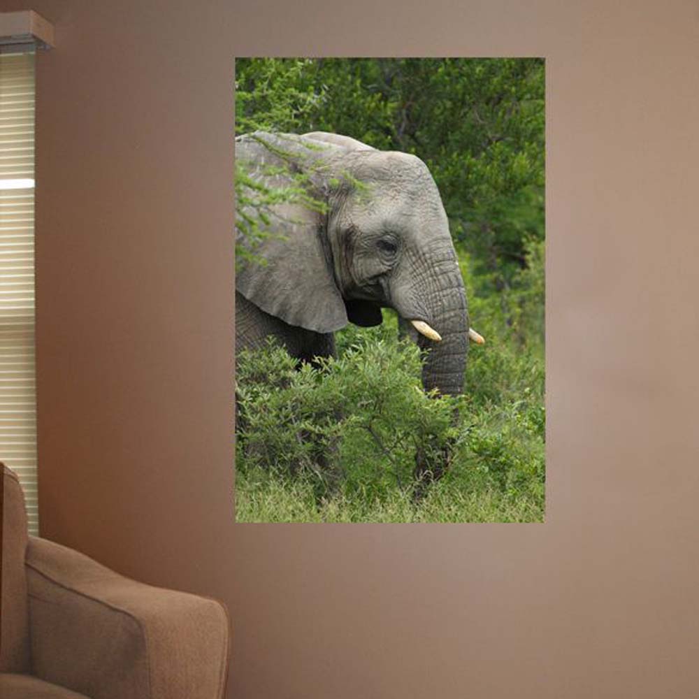 Boer Elephant Glossy Poster Installed