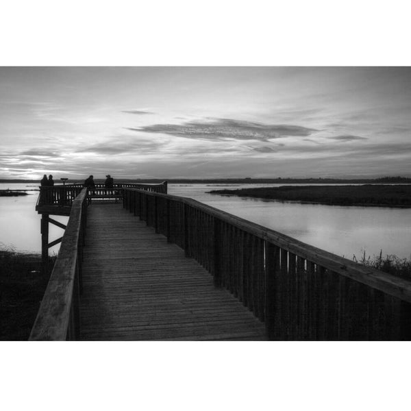 Boer Evening at the Lake Gloss Poster