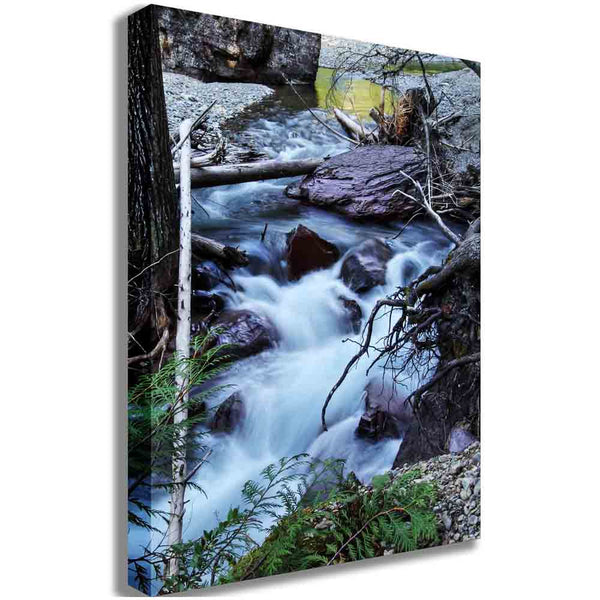Boer Small Waterfall Canvas Print
