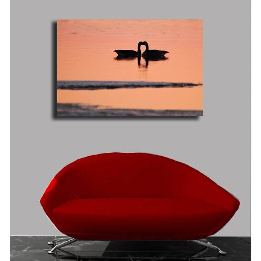 Boer Goose Love Canvas Print Installed