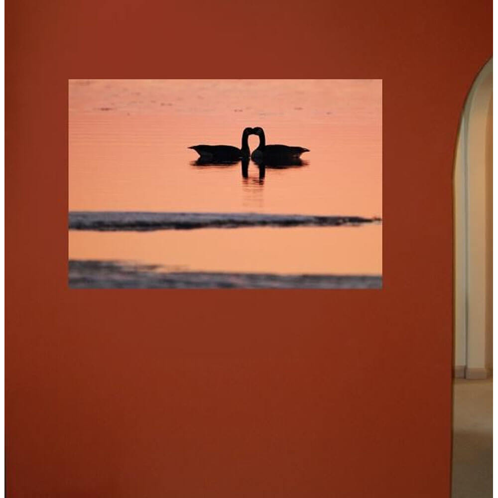 Boer Goose Love Wall Decal Installed