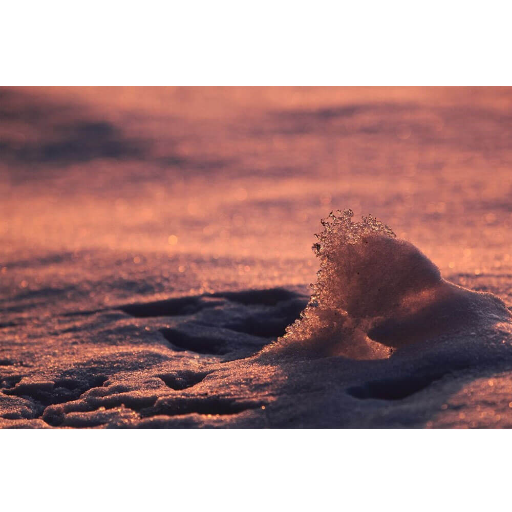 Boer Ice Wave Gloss Poster