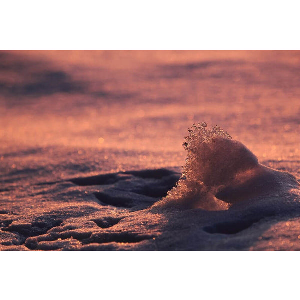 Boer Ice Wave Gloss Poster