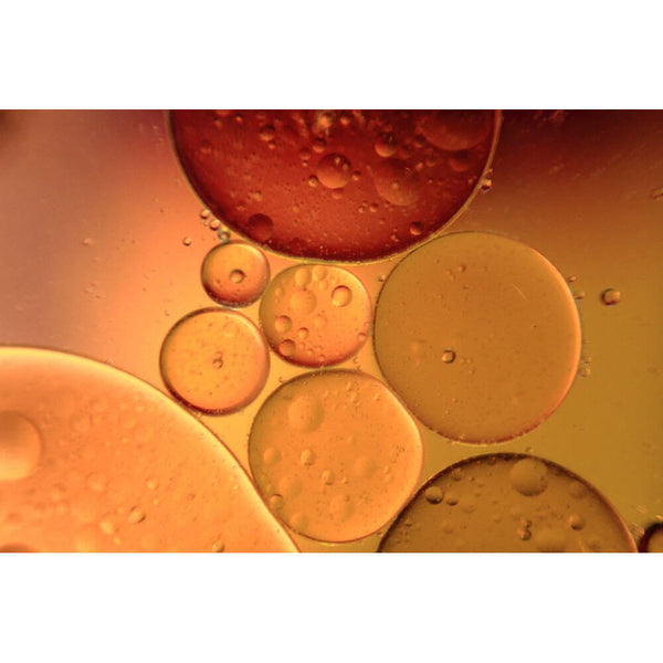 Boer Oil Gold Gloss Poster