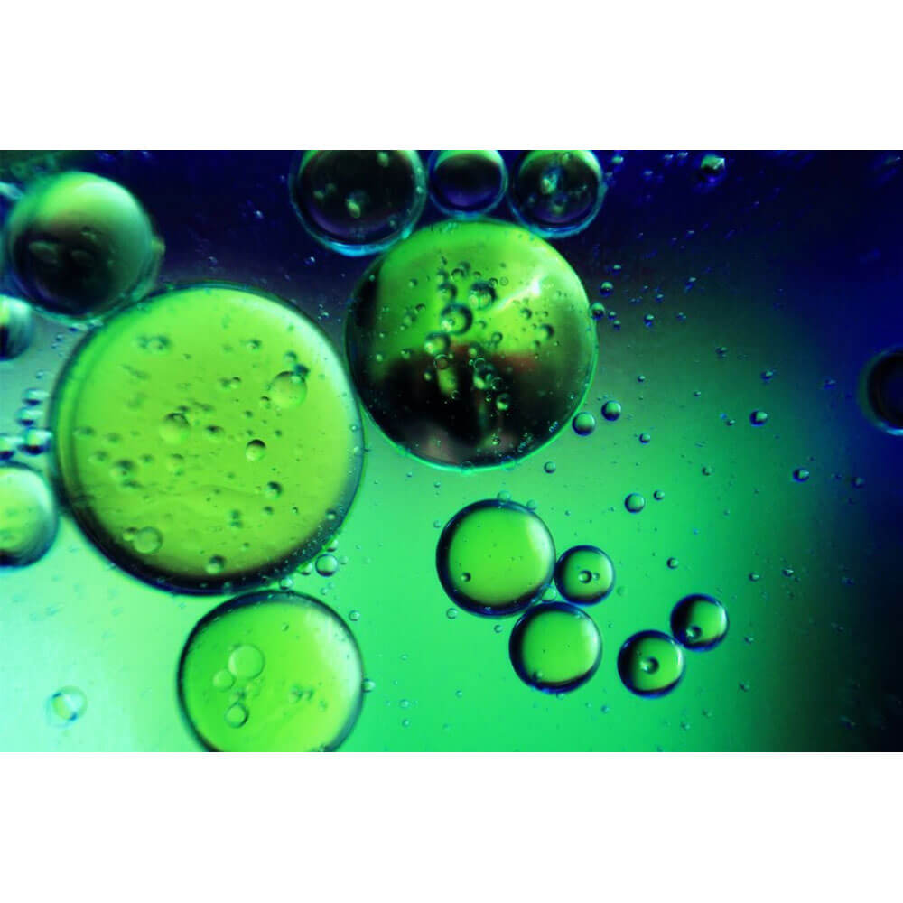 Boer Oil Green Gloss Poster