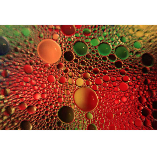 Boer Oil Red Glossy Poster