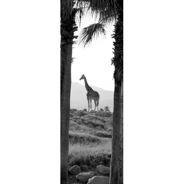 Boer Giraffe Wall Decal
