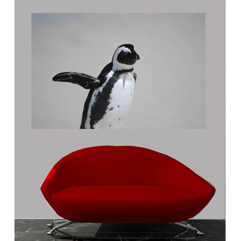 Boer Penguin Wall Decal Installed