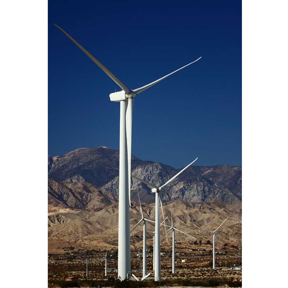 Boer Windmills Wall Decal