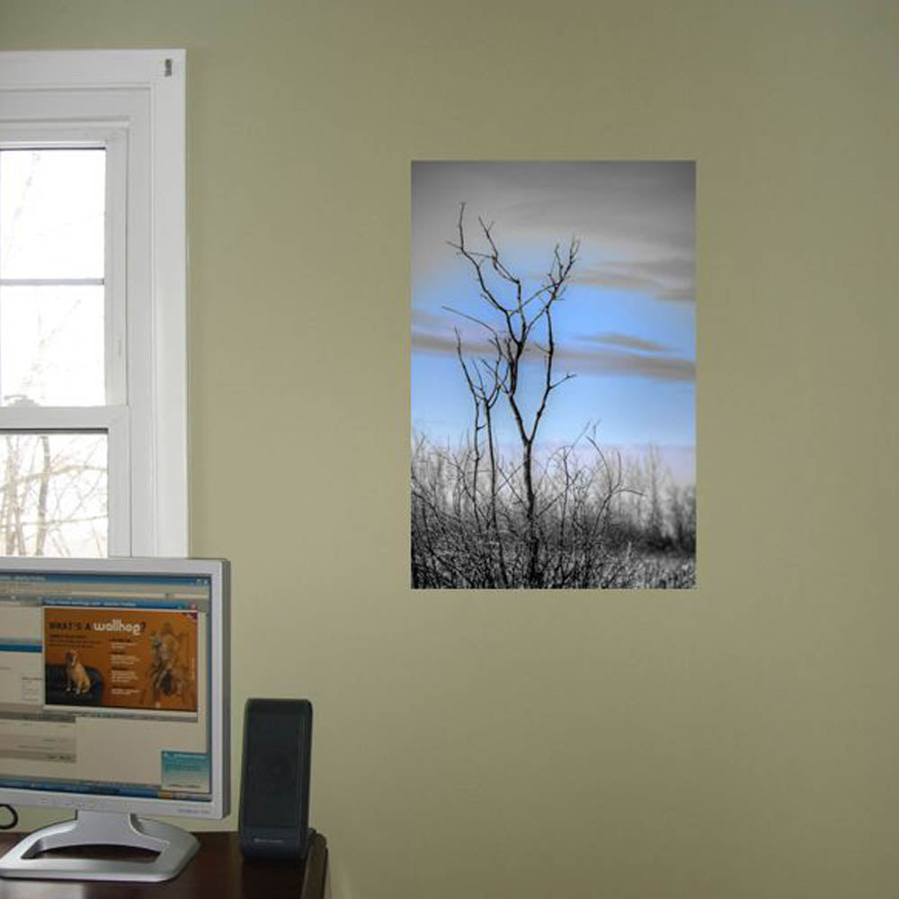 Boer Winter Tree Glossy Poster Installed