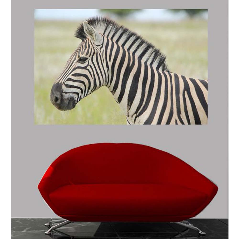 Boer Zebra II Wall Decal Installed