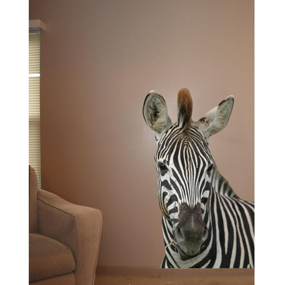 Boer Zebra Cutout I Wall Decal Installed