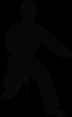 Martial Arts Kata Silhouette Wall Decal Cutout