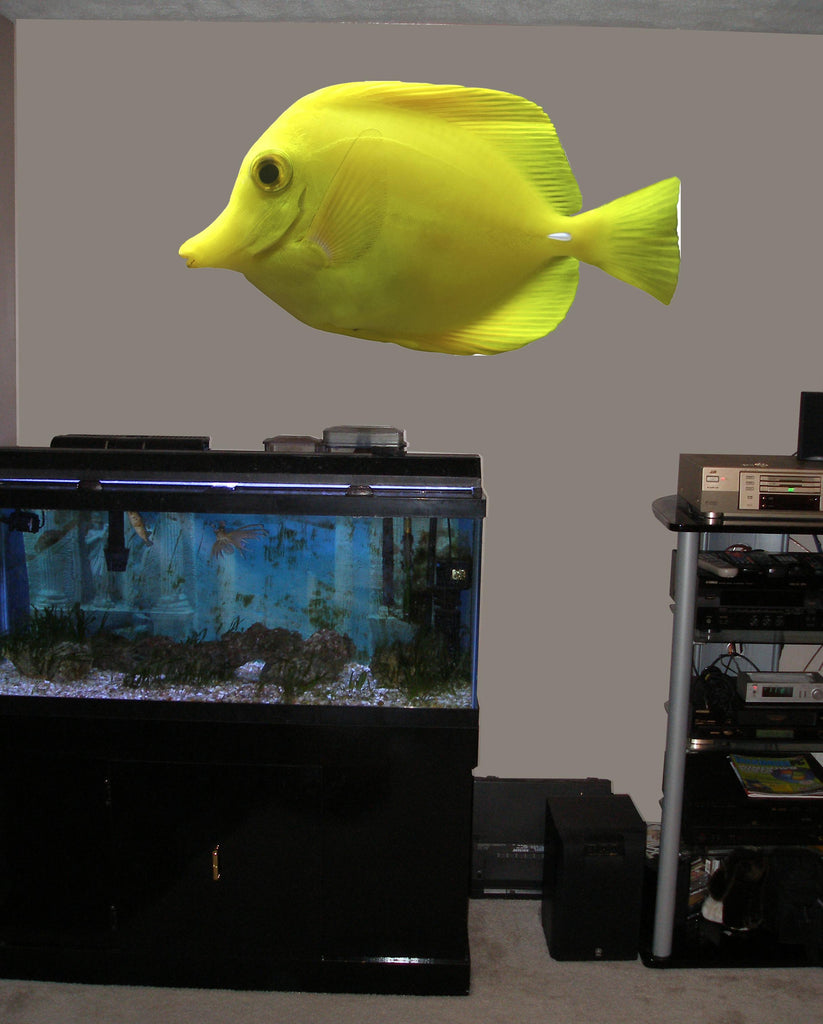 Yellow Tang Wall Decal Cutout Installed