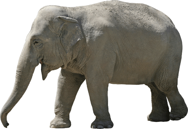 Lumbering Elephant Wall Decal Cutout