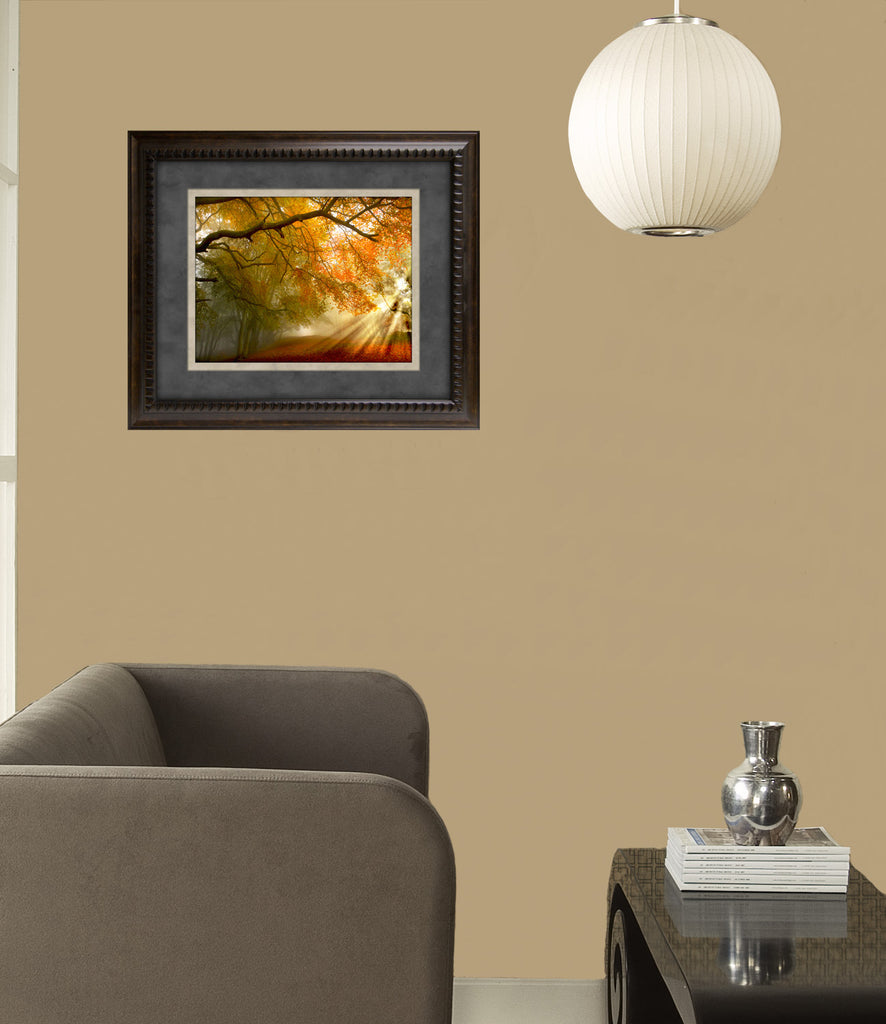 Forest Light Framed Art 19.25"x23.25" Installed