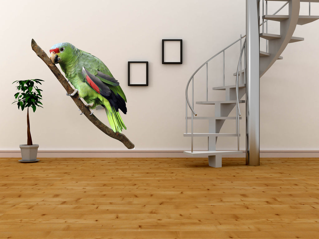 Parrot Wall Decal Cutout Installed