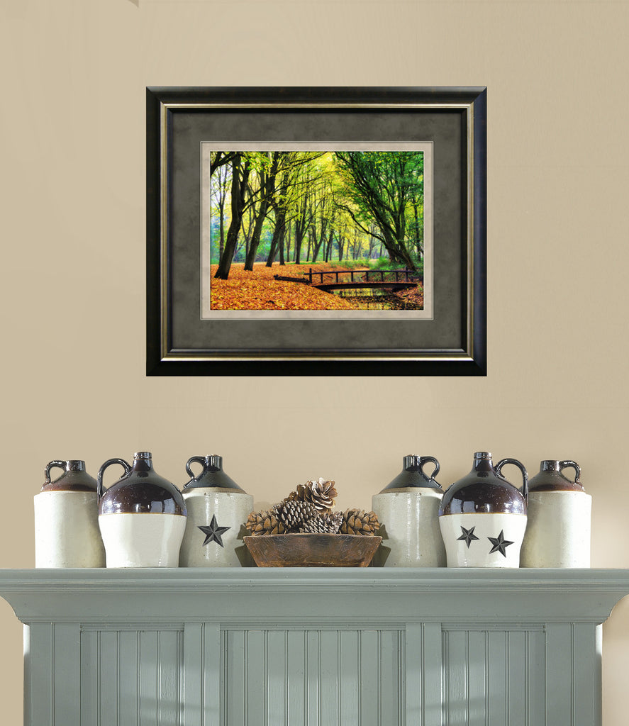 Fall Tree Tunnel Framed Art 19.25"x23.25" Installed