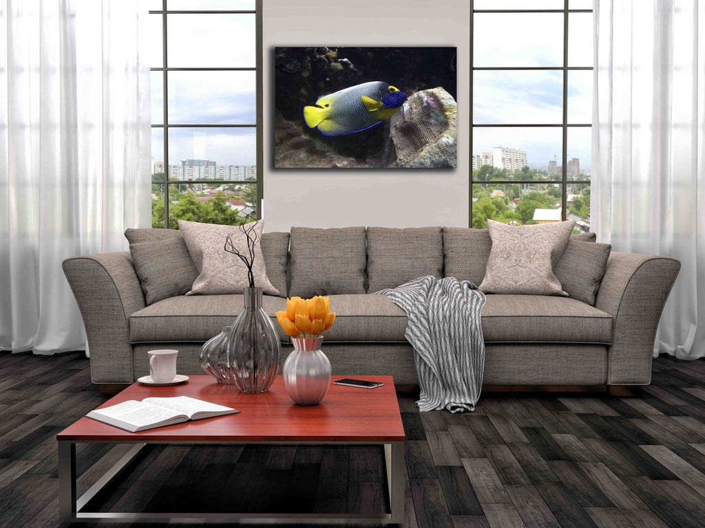 Reef Angel Canvas Installed