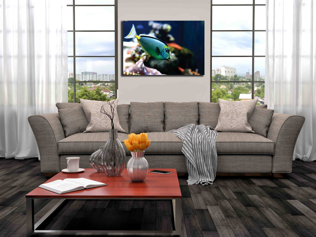 Reef Tang Canvas Installed
