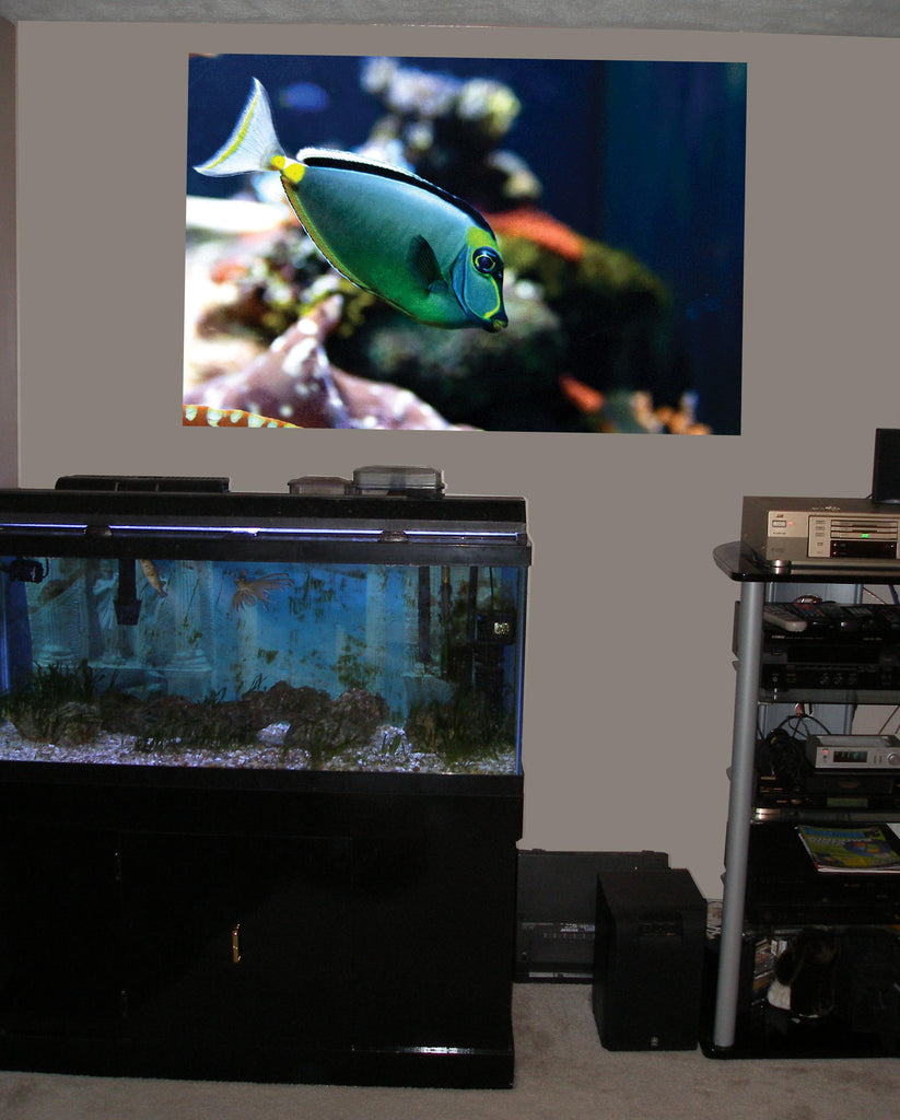 Reef Tang Glossy Poster Installed