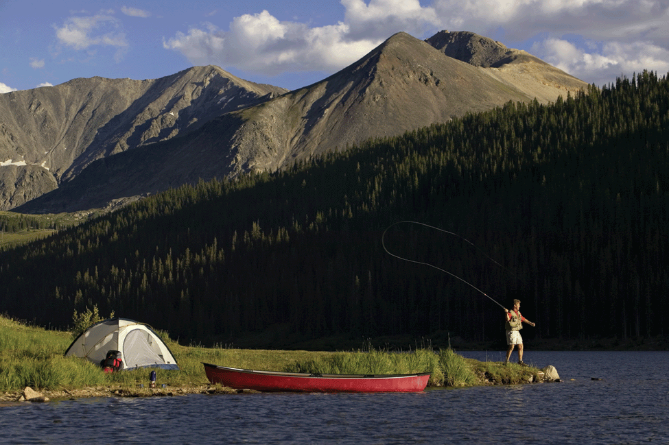 Majestic Sportsman Wall Decal Poster