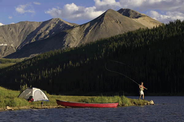 Majestic Sportsman Wall Decal Poster